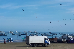 20180313_092439