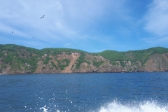 20180313_104031