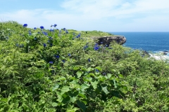 20180313_123519