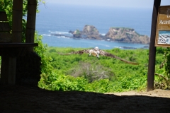 DSC07885