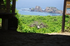 DSC07888