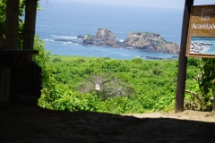 DSC07889