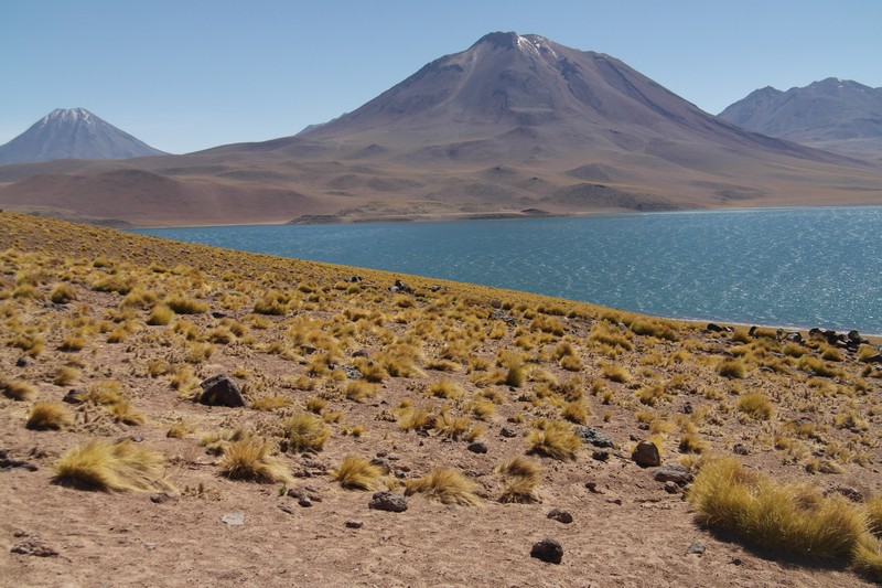 Laguna Miscanti